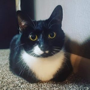 Meet your Posher, Marianne